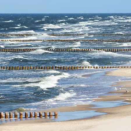 Wakacyjna Wioska Summerland