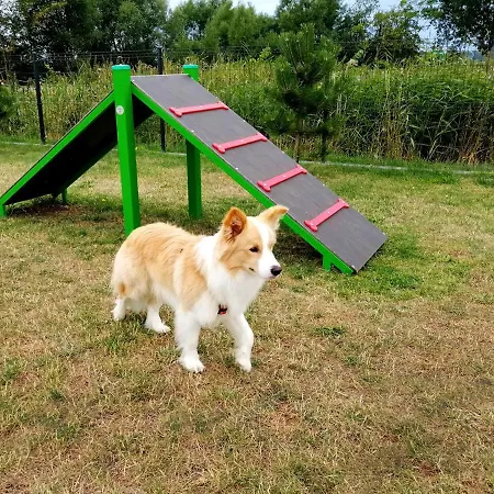 Wakacyjna Wioska Summerland Дом отдыха