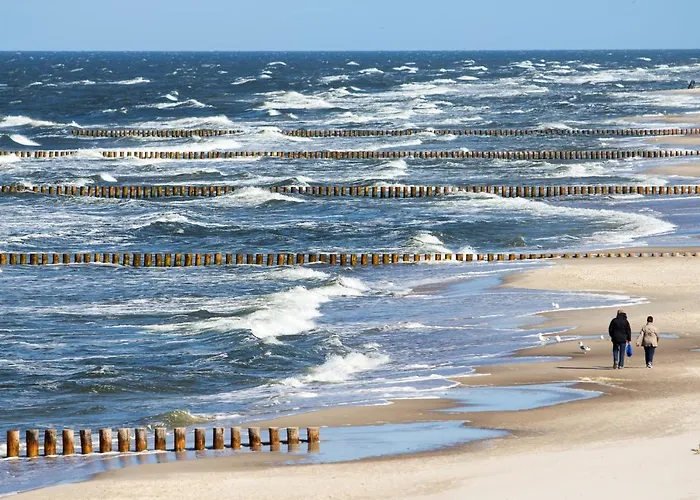 Wakacyjna Wioska Summerland